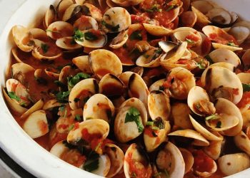 Clams Clams